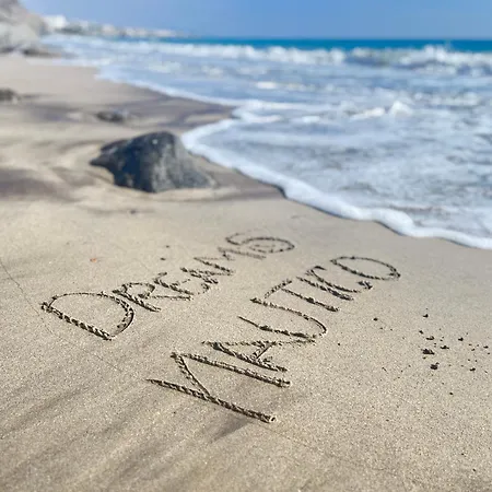 Playa Dreams Nautico Adults